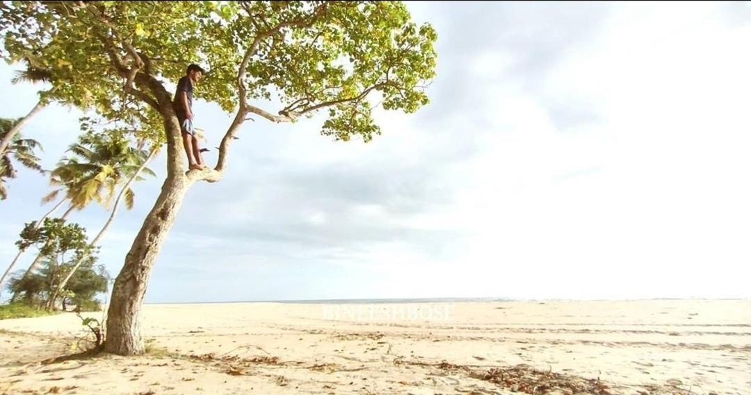 Marari Beach Pearl Homestay Mararikulam Esterno foto