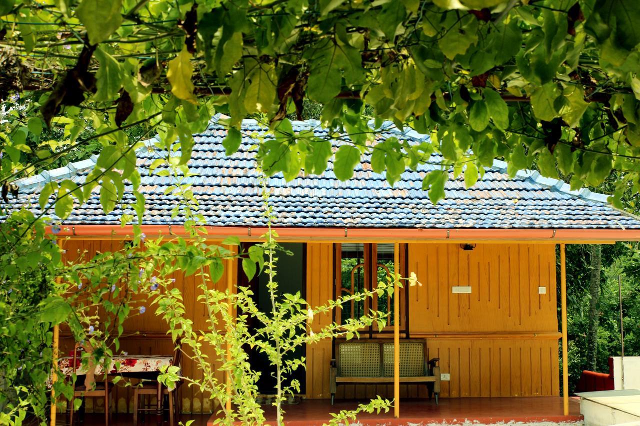 Marari Beach Pearl Homestay Mararikulam Esterno foto